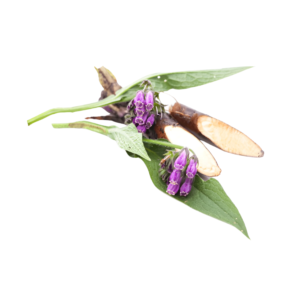 Allantoin