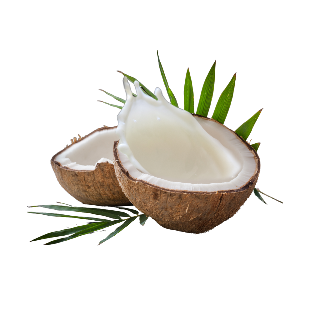 Coconut Milk