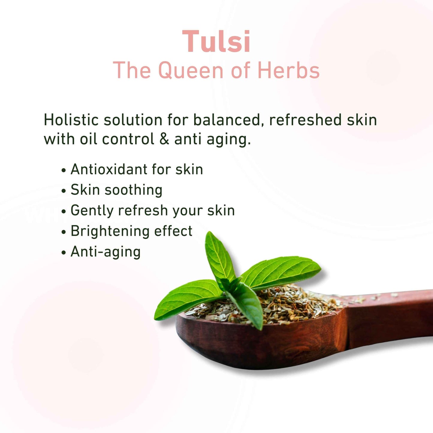 Prettyme Tulsi Rejuvenating Night Cream For Glowing Skin & Radiance