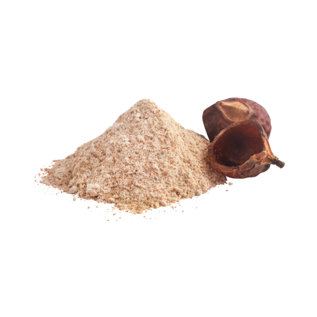 soapnut